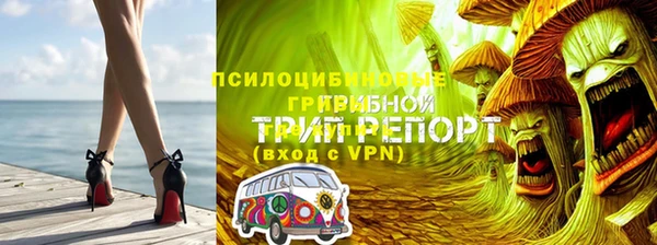 Альфа ПВП Ростов