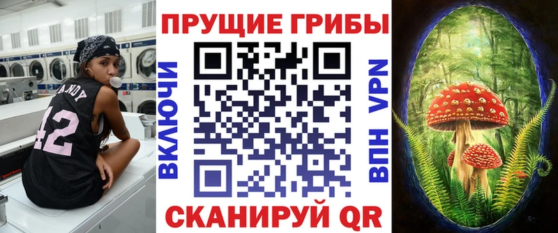 omg   Углич  Псилоцибиновые грибы Psilocybine cubensis  магазин  наркотиков 
