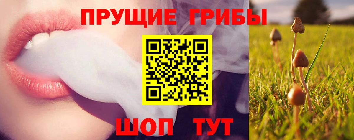 Псилоцибиновые грибы мицелий  Псилоцибиновые грибы Psilocybe  Вход с VPN  Углич 